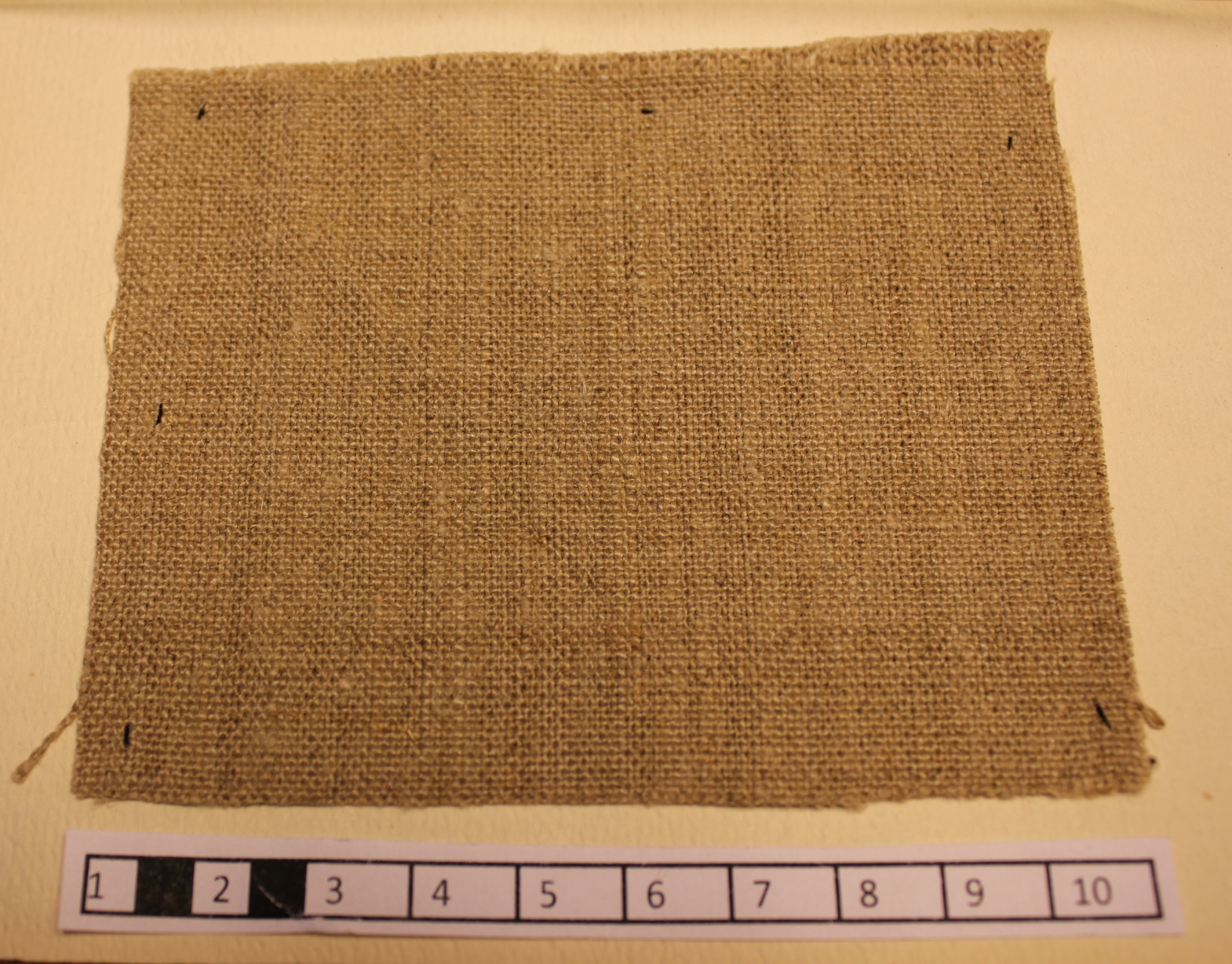 plátno MZM 14137